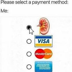 kidney