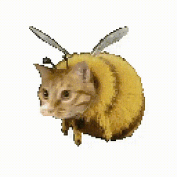 beecat