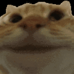 yescat