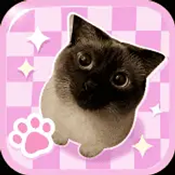 MEOWL