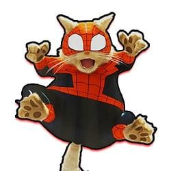 SpiderCat / SOL