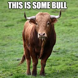 BULLDID / SOL