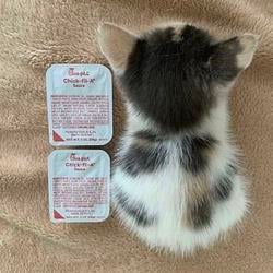 2SAUCECAT / SOL