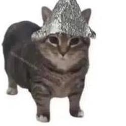 PSYOPCAT / SOL