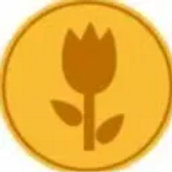 Tulip