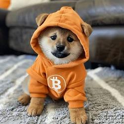 DOGE