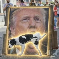 GOODBOY / SOL