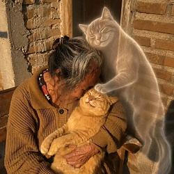 YANTO / SOL