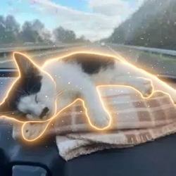 Kitler / SOL