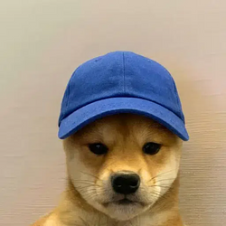 cap / SOL