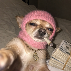 $DOLLA
