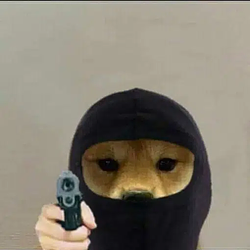 gang