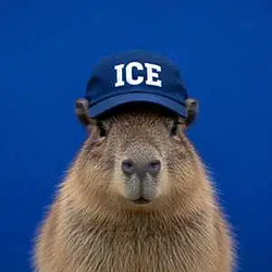 IceCap