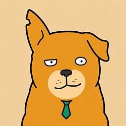 STONKDOG / SOL