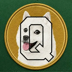 Quincoin / SOL