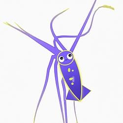 Squid