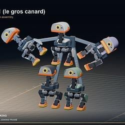 macroduck