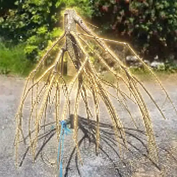 Stick / SOL