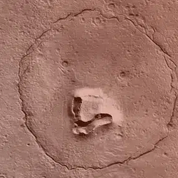 marsbear / SOL