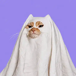 PCAT