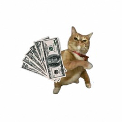 paycat