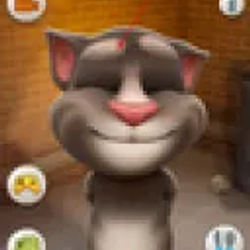 汤姆猫