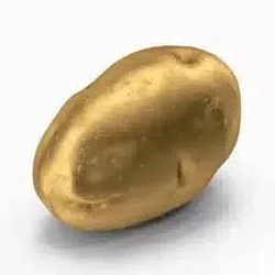Potato / SOL