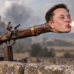 ElonMusket