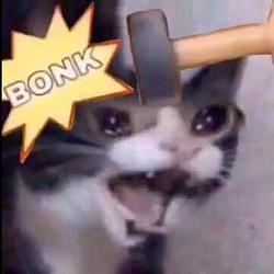 BonkCat