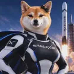 SXSI
