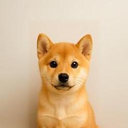 inu