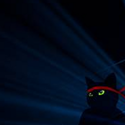 NINJACAT / SOL