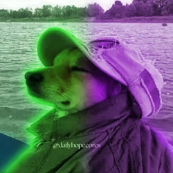 WAGMI