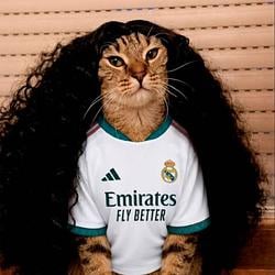 CUCURELLA