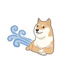 DOGEFART / SOL