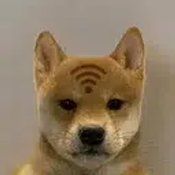 wifi