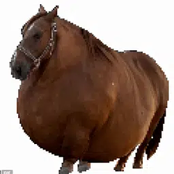 🐴🧁 / USDC