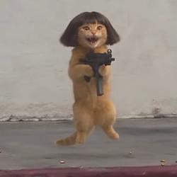 liluzicat