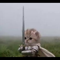 $HODL