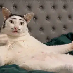 CATE