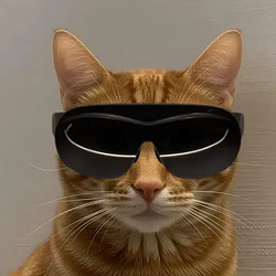metacat