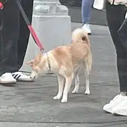 Max