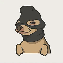 robber