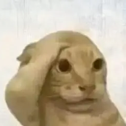 WIF