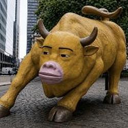安交所 bull