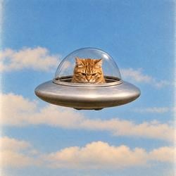 UFCAT