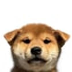 inu