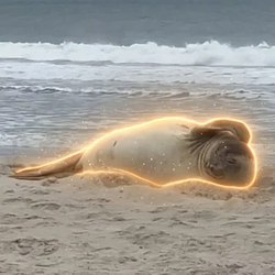 SEAL