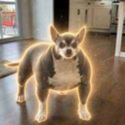 The Bullyhuahua (Oscar) logo