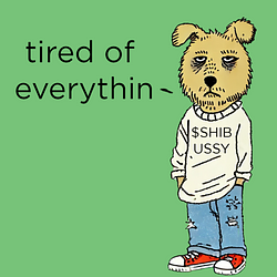 SHIBUSSY